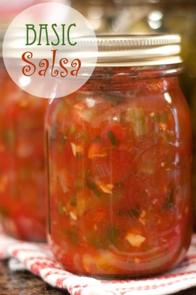 Basic Salsa Recipe
 Basic Salsa