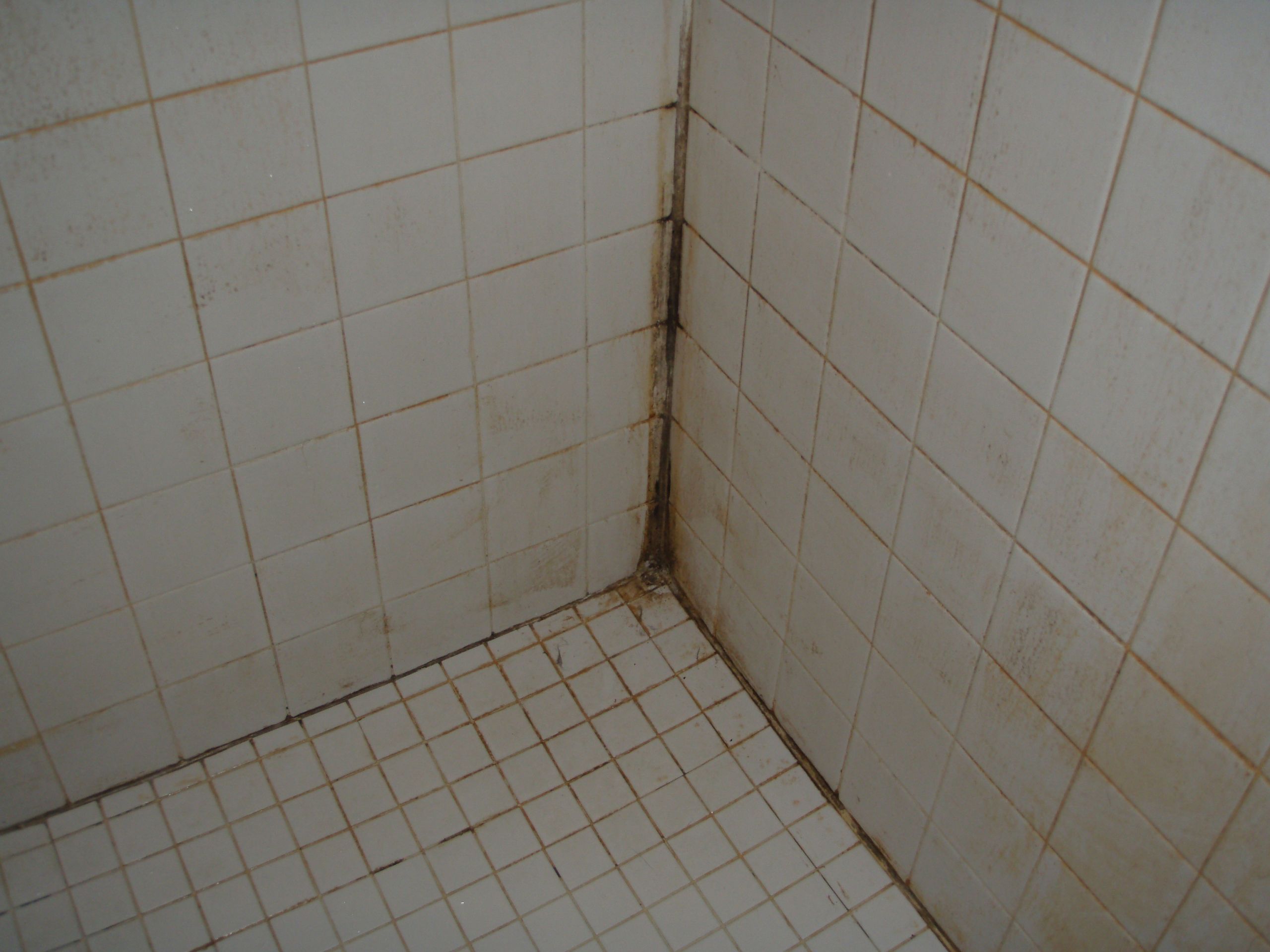 Bathroom Floor Tile Grout
 Carolina Grout Works Grout Clean & Seal Charlotte Greensboro