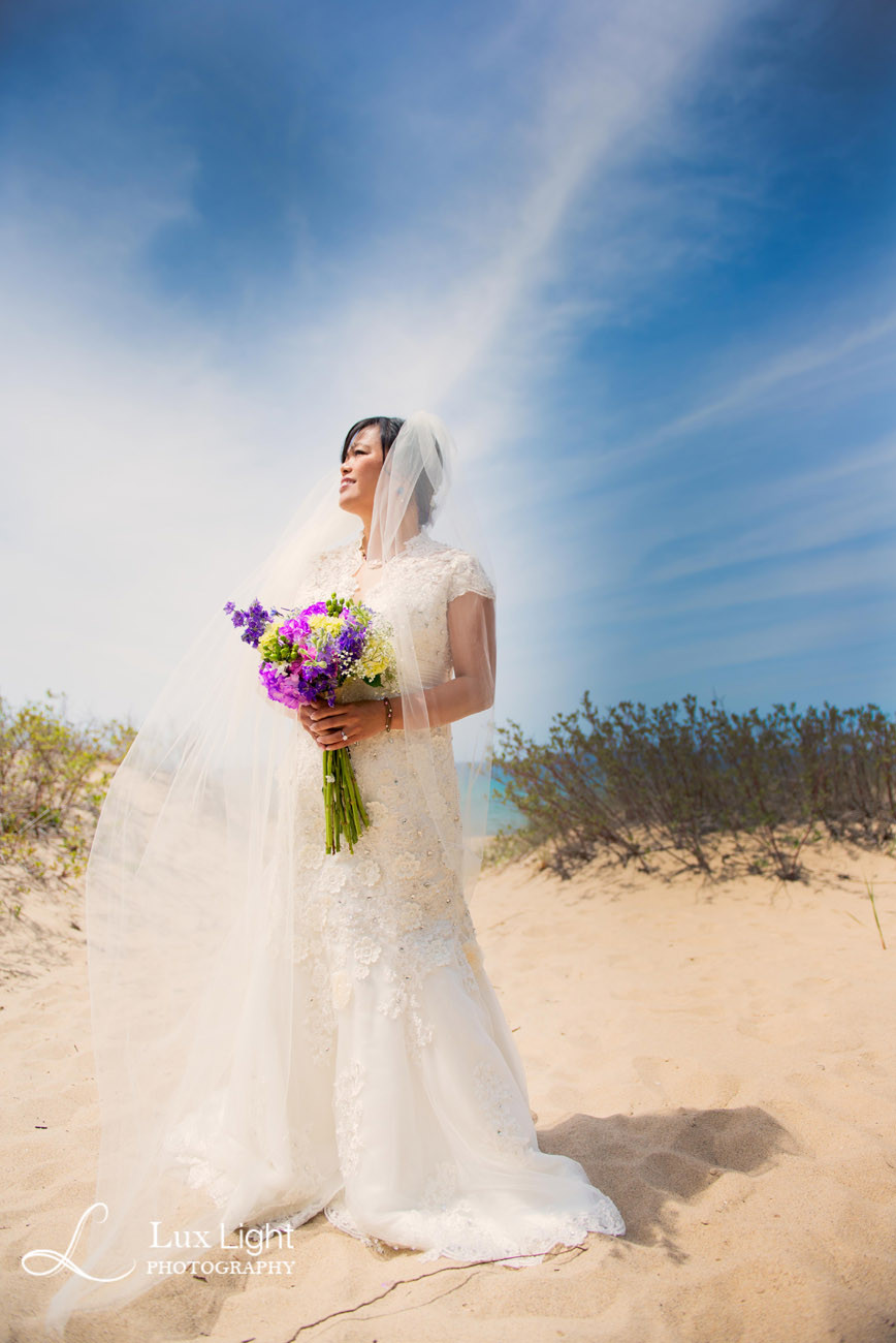 Beach Wedding Photography
 beach wedding photography michigan lux light photography