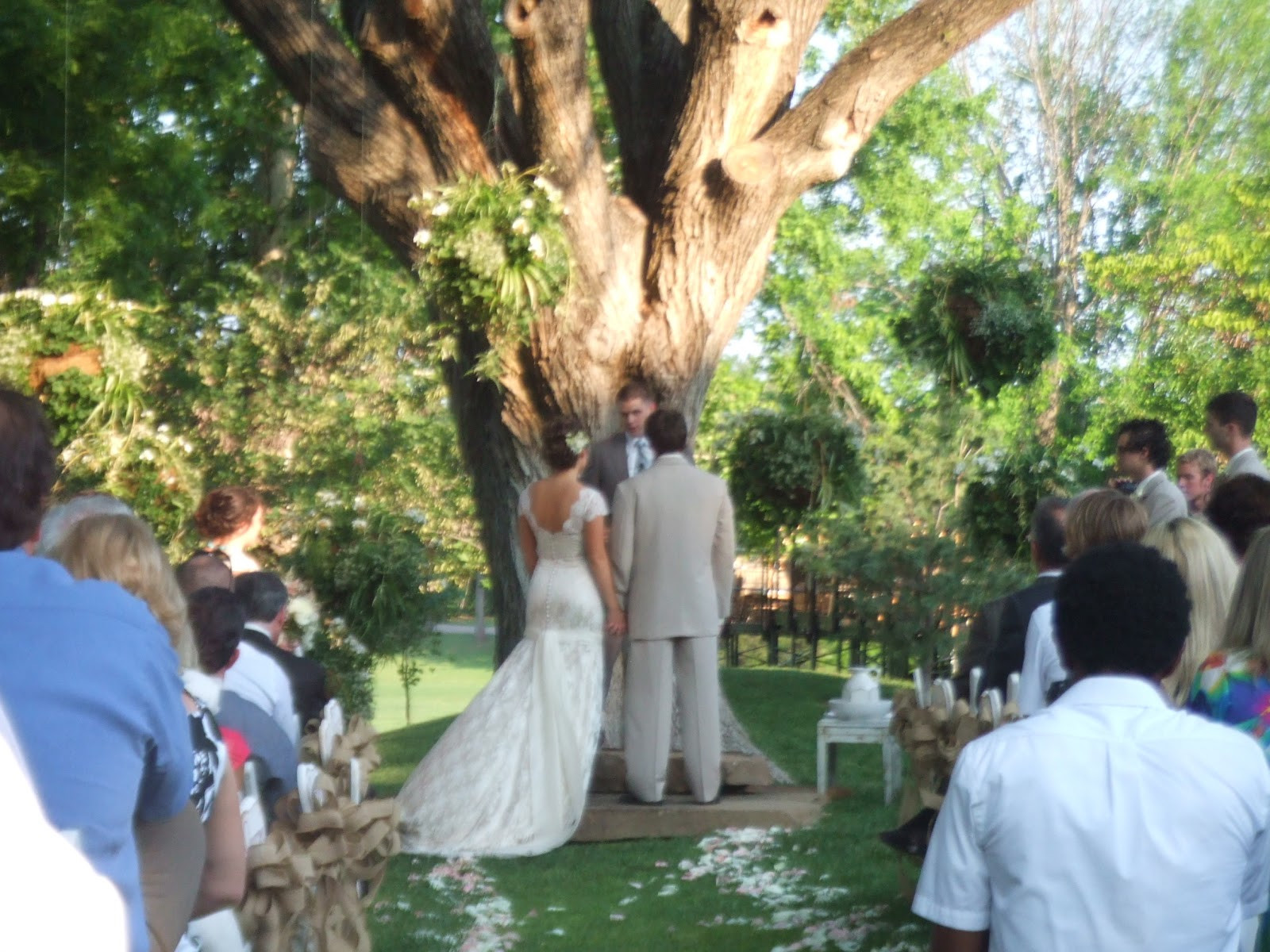 Beautiful Backyard Weddings
 Wawawaughs ONE OF THE MOST BEAUTIFUL BACKYARD WEDDINGS