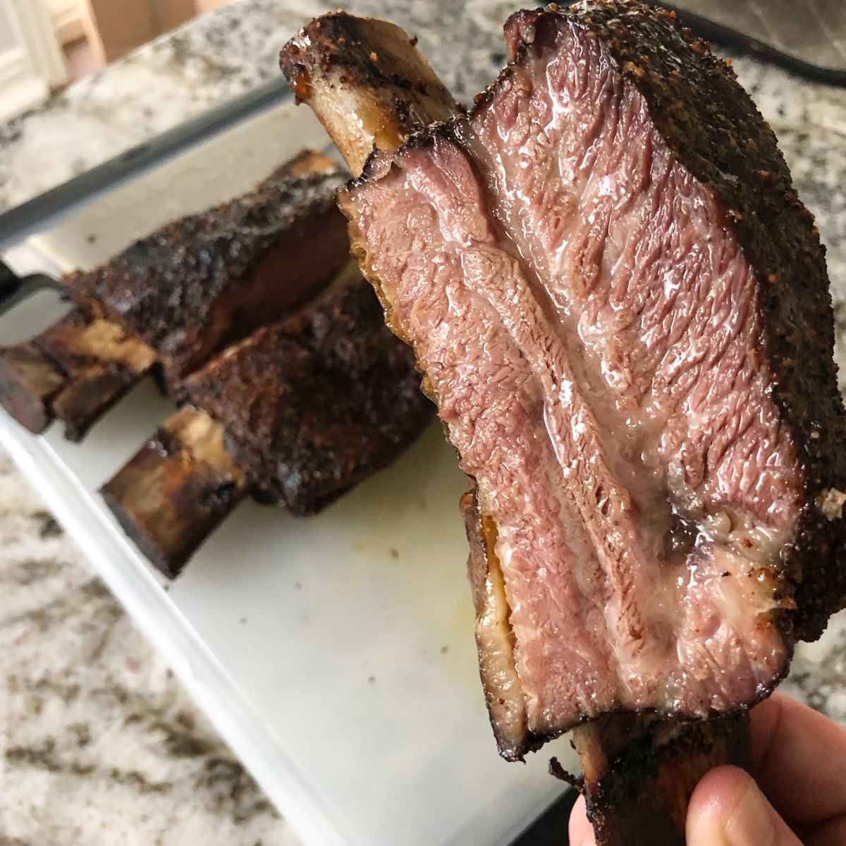 Beef Ribs Sous Vide
 Indoor Sous Vide Beef Ribs – JB Sous Vide