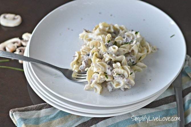 Beef Stroganoff Freezer Meal
 Ground beef stroganoff for the freezer is one of my family