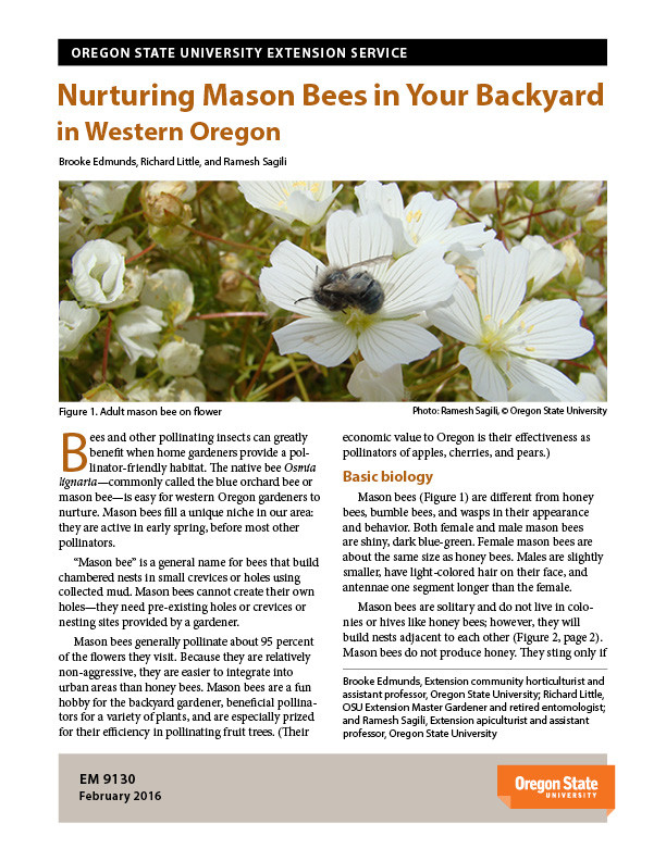 Bees In Your Backyard
 Nurturing Mason Bees in Your Backyard in Western Oregon