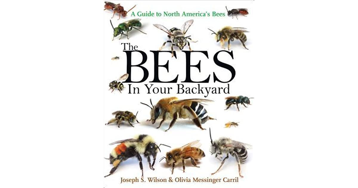 Bees In Your Backyard
 The Bees in Your Backyard A Guide to North America s Bees