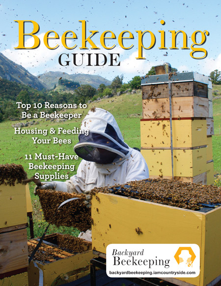 Bees In Your Backyard
 Raise Bees in Your Backyard Backyard Beekeeping