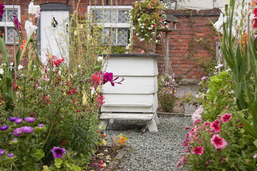 Bees In Your Backyard
 29 Beautiful Backyard Bee Hives