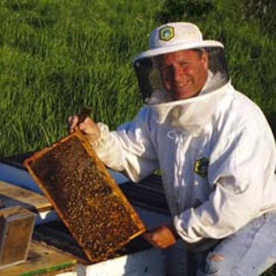 Bees In Your Backyard
 Natural Beekeeping in Your Backyard