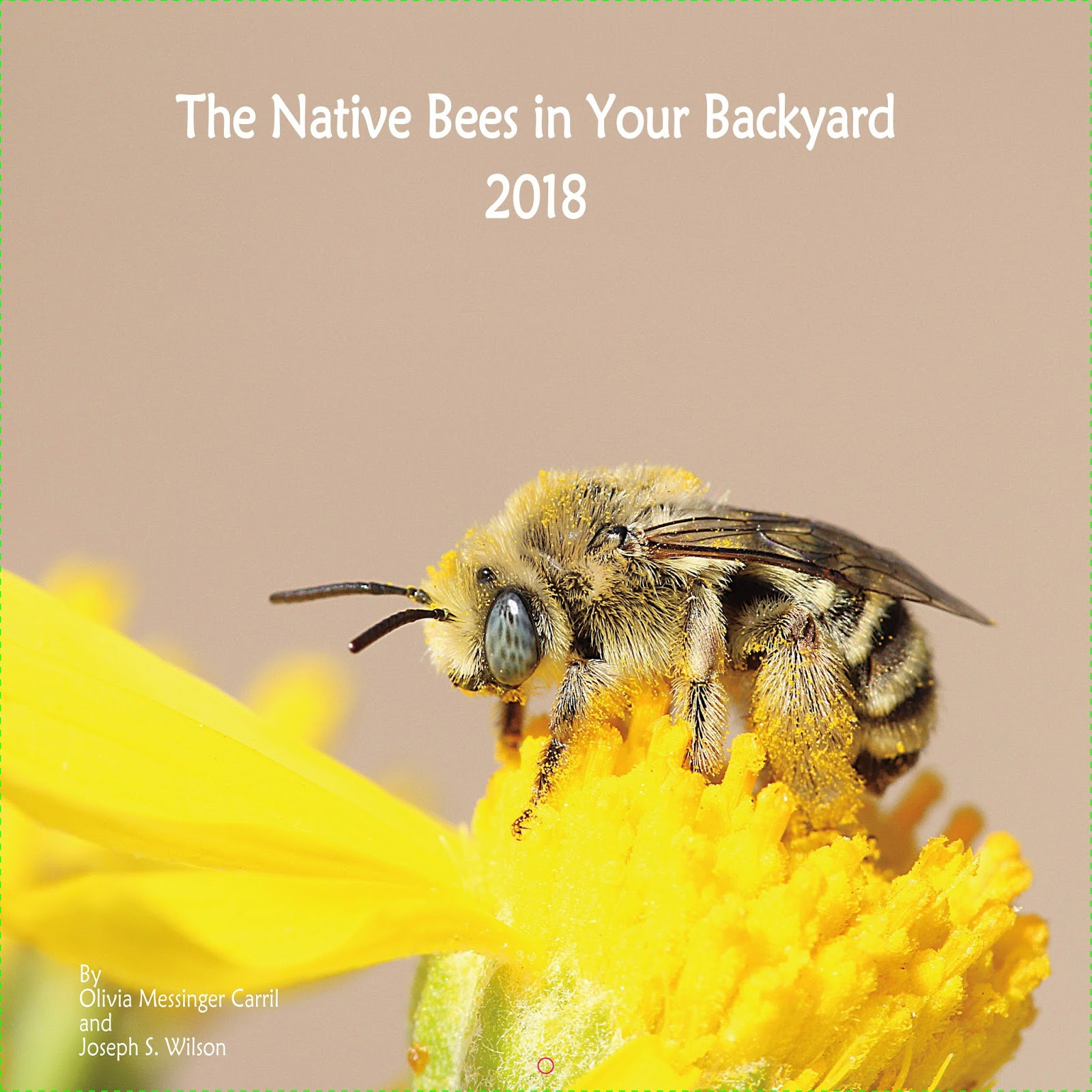 Bees In Your Backyard
 Bees in your backyard Native Bees in Your Backyard 2018