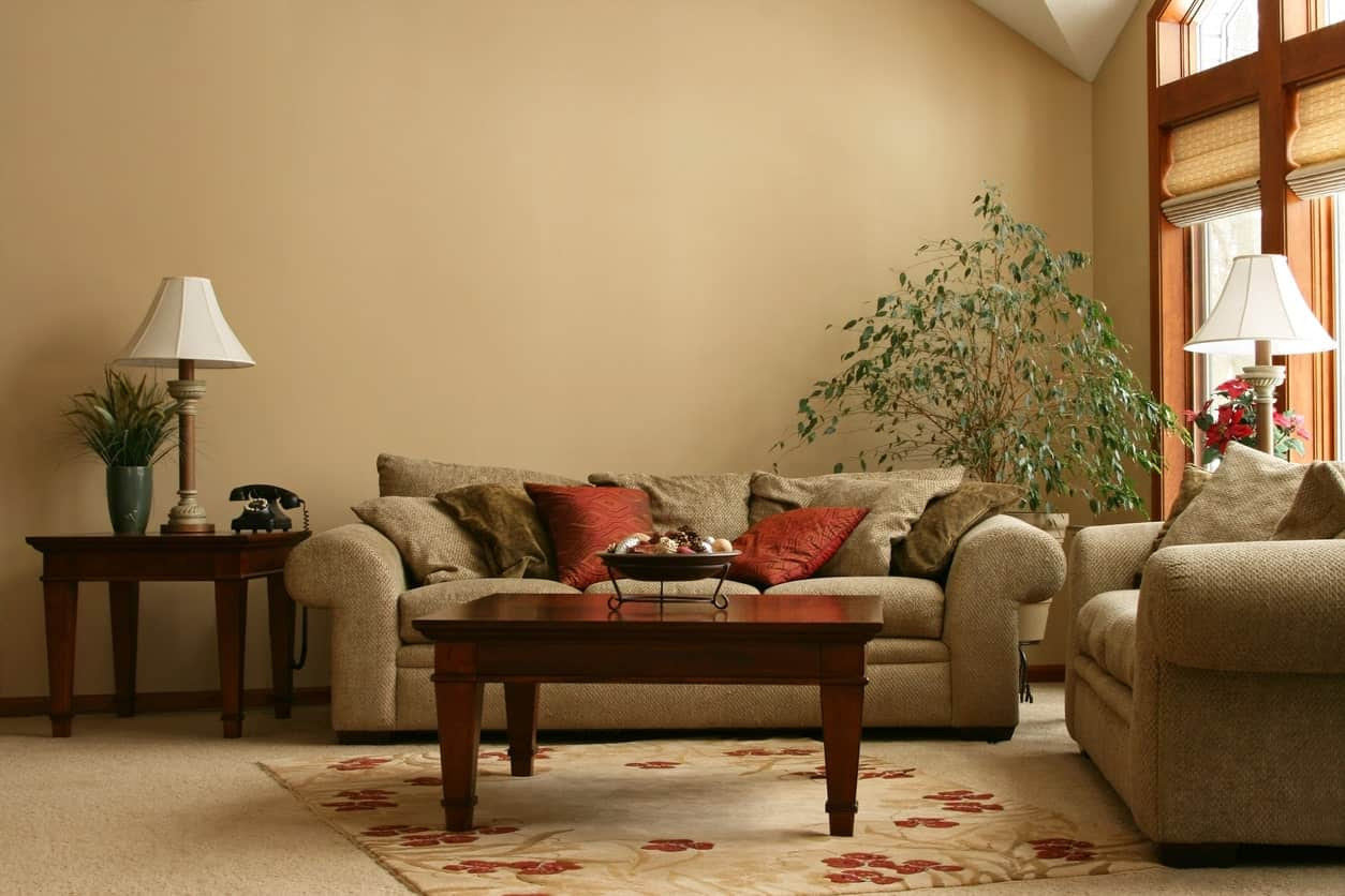 Beige Rug Living Room
 80 Beige Living Room Ideas s