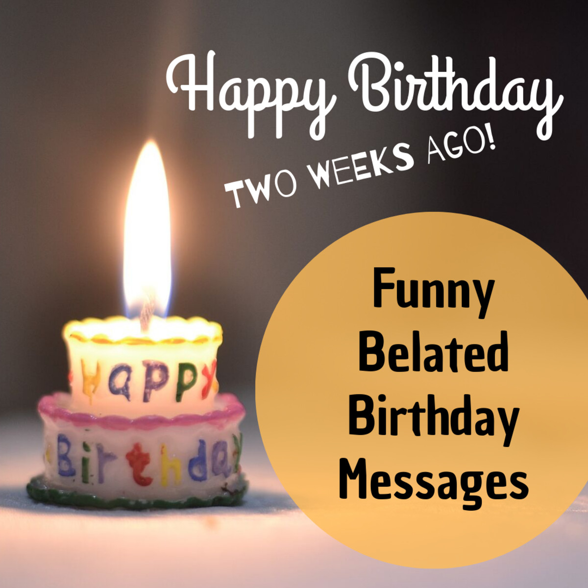 Belated Birthday Wishes
 Funny Belated Happy Birthday Wishes Late Messages and