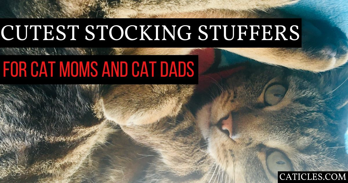 Best Christmas Gift Ideas 2020
 Stocking Stuffers for Cat Lovers