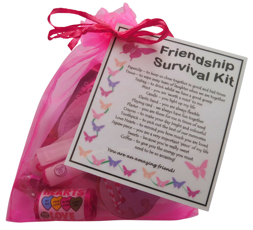 Best Friend Birthday Gift
 Friendship BFF Best Friend Survival kit t unique