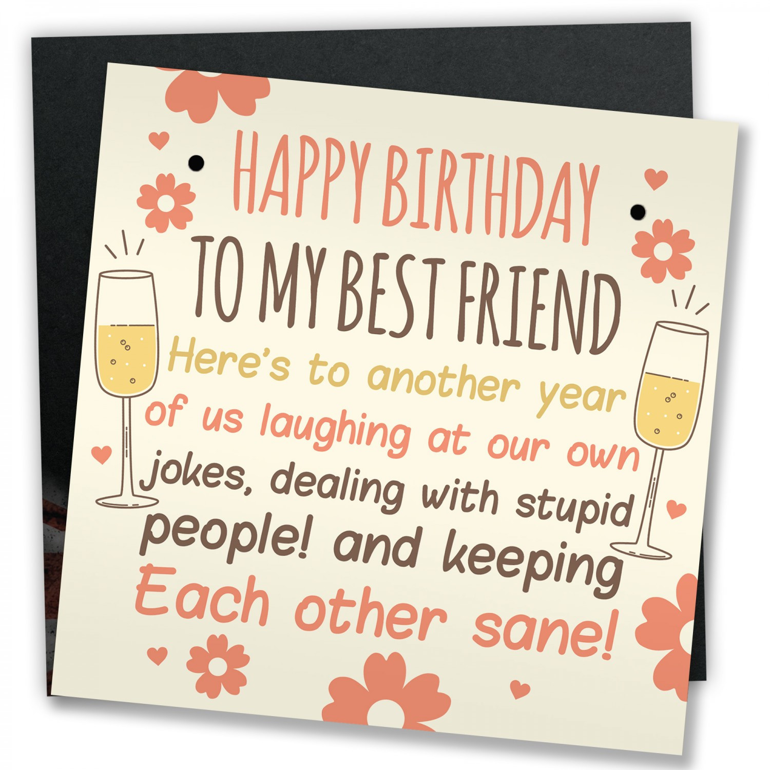 Best Funny Birthday Cards
 Funny Best Friend Birthday Card Friendship Gifts Sign