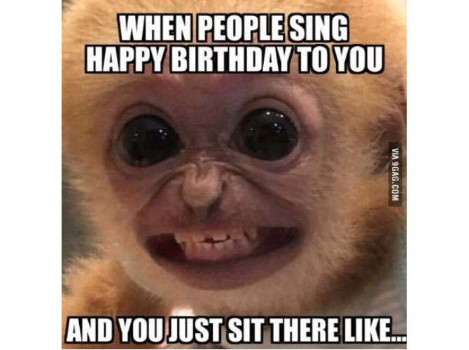 Best Funny Birthday Memes
 The 18 Best Happy Birthday Memes to Brighten Someone s Day