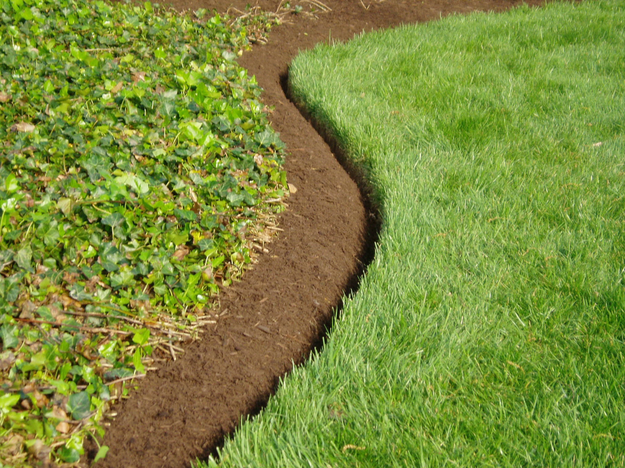 Best Landscape Edging
 The Best Landscape Edging to Install Around Your Flower