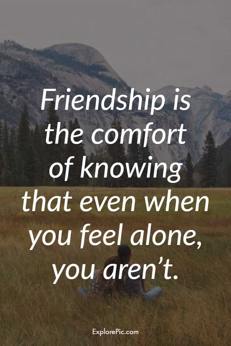 Best Quotes About Friendship
 117 Cute Best Friendship Quotes For Your Best Friend