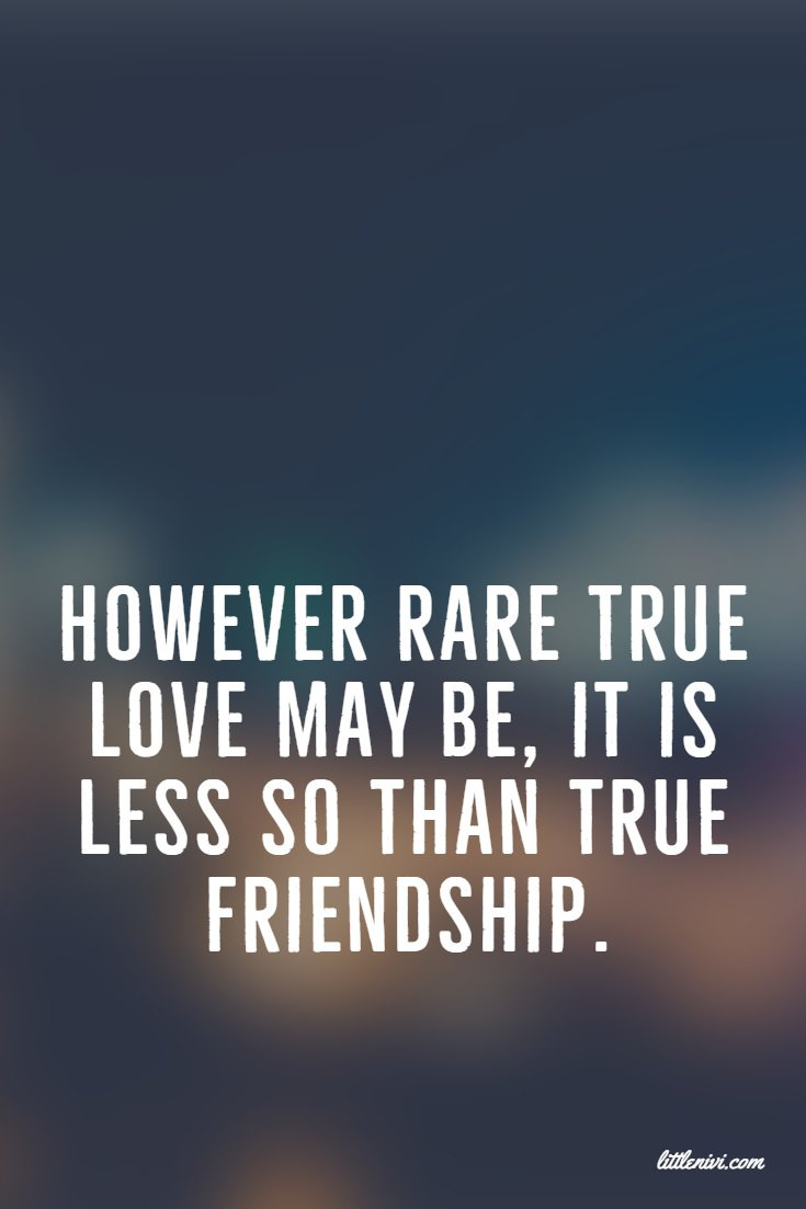 Best Quotes About Friendship
 27 Friendship Quotes That You And Your Best Friends