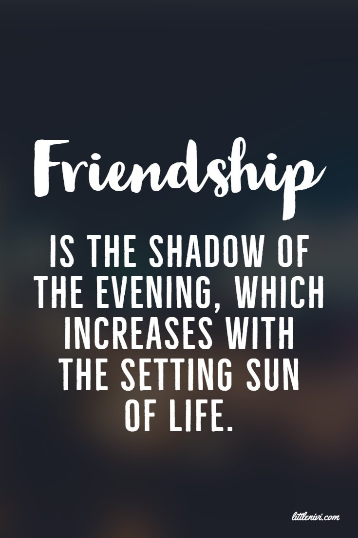 Best Quotes About Friendship
 27 Friendship Quotes That You And Your Best Friends