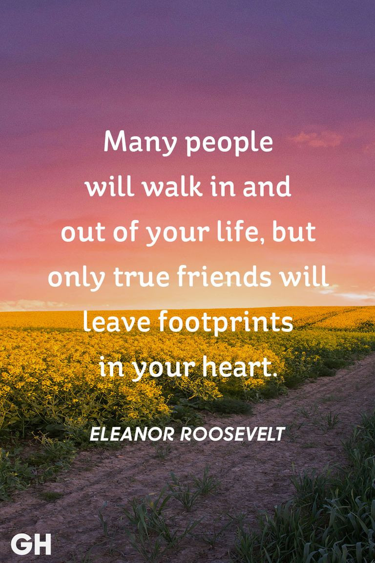 Best Quotes About Friendship
 25 Short Friendship Quotes to With Your Best Friend