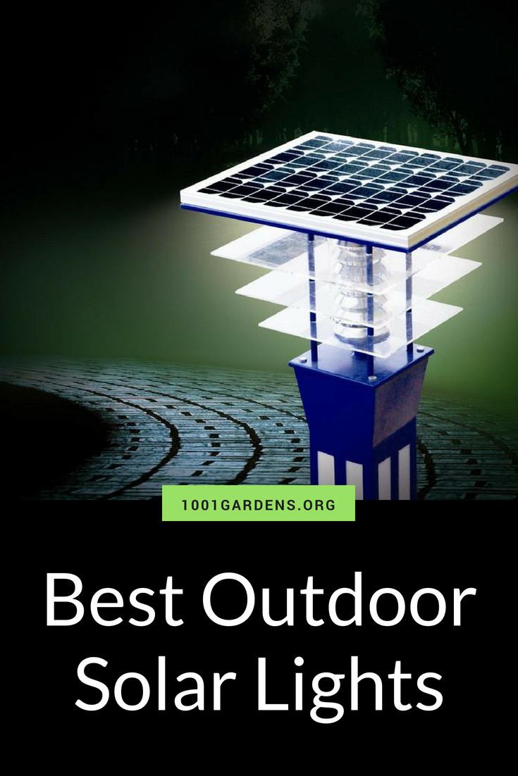 Best Solar Landscape Lights
 Best Outdoor Solar Lights for your Garden 1001 Gardens
