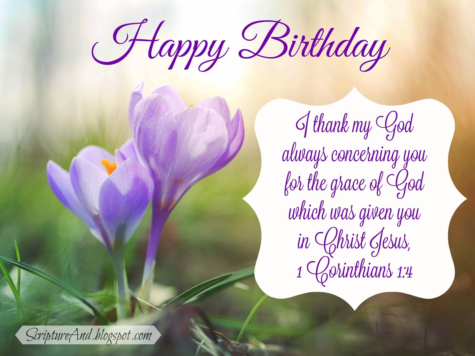 Bible Birthday Wishes
 Scripture and Free Birthday with Bible Verses