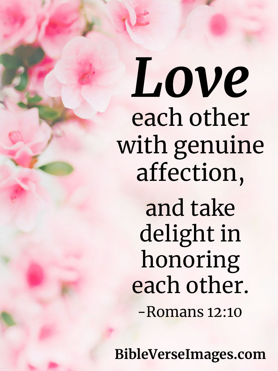 Bible Quotes On Marriage
 Bible Verse about Marriage Romans 12 10 Bible Verse