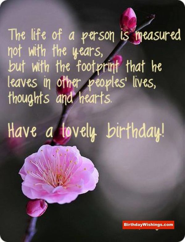 Birthday Blessings Quotes
 Happy Birthday Quotes Funny birthday wishes For friends