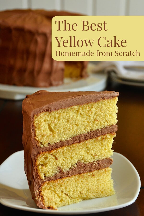 Birthday Cake Recipe From Scratch
 The Best Yellow Cake Recipe Homemade from Scratch Rock