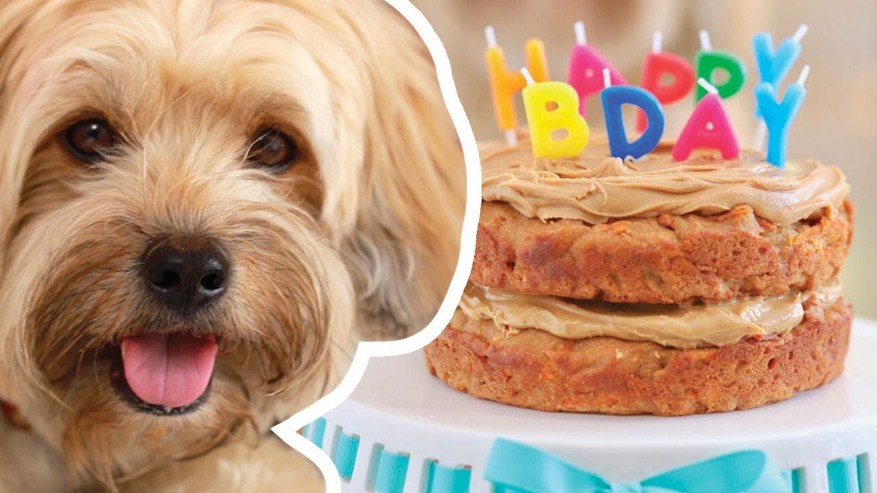 Birthday Cake Recipes For Dogs
 Dog Birthday Cake Recipe For Your Furry Friend Bigger
