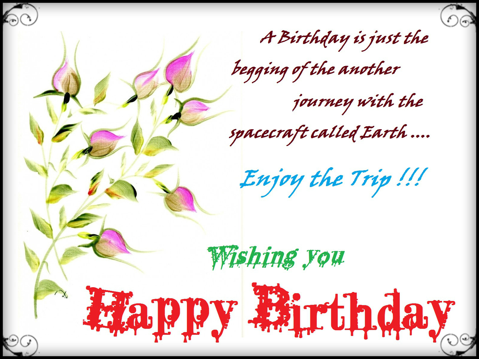 Birthday Card Wording
 New Birthday Wishes Funny Greetings Pics