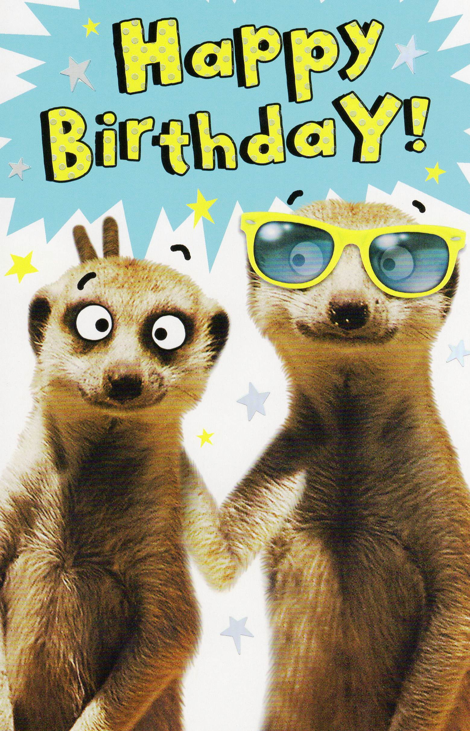 Birthday Funny Card
 Funny Meerkat Happy Birthday Card Humour Greeting Cards