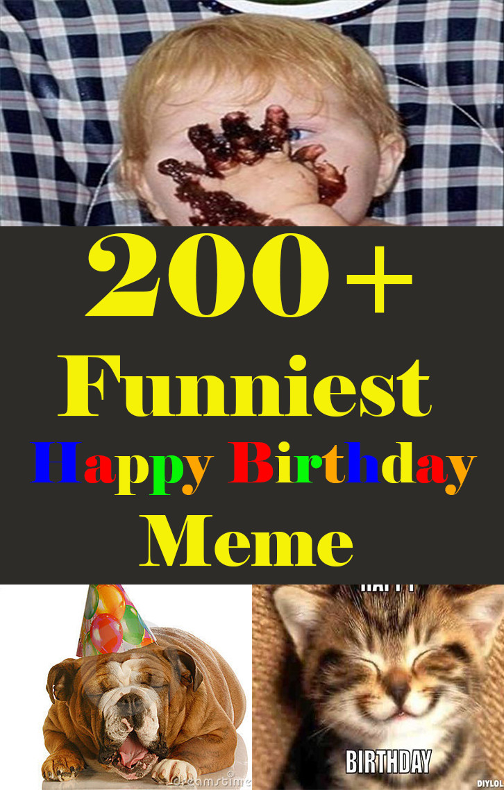 Birthday Funny Memes
 200 Funniest Birthday Memes for you Top Collections