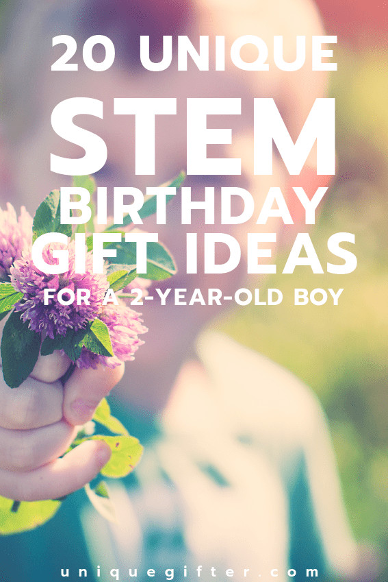 Birthday Gift Ideas 2 Year Old Boy
 20 STEM Birthday Gift Ideas for a 2 Year Old Boy Unique