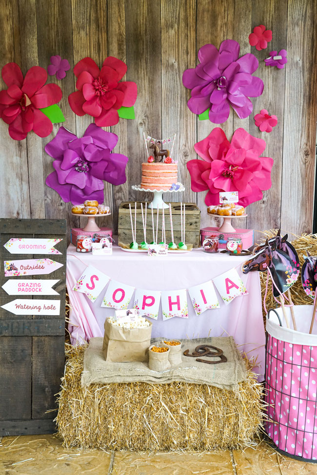 Birthday Girl Decorations
 Rustic Horse Birthday Party For Girls Pretty My Party