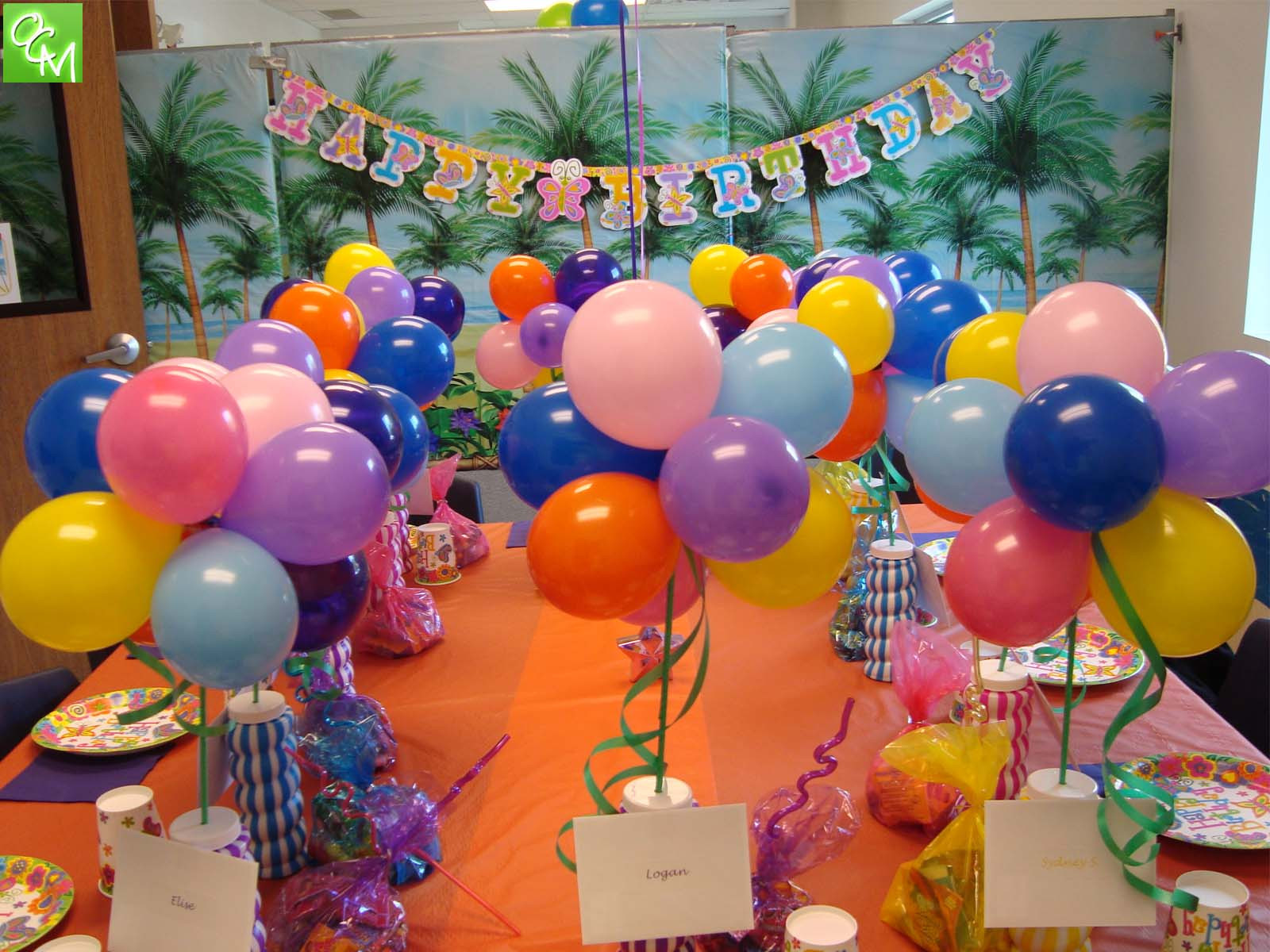 Birthday Party At Park
 Paradise Park Novi Birthday Party Packages