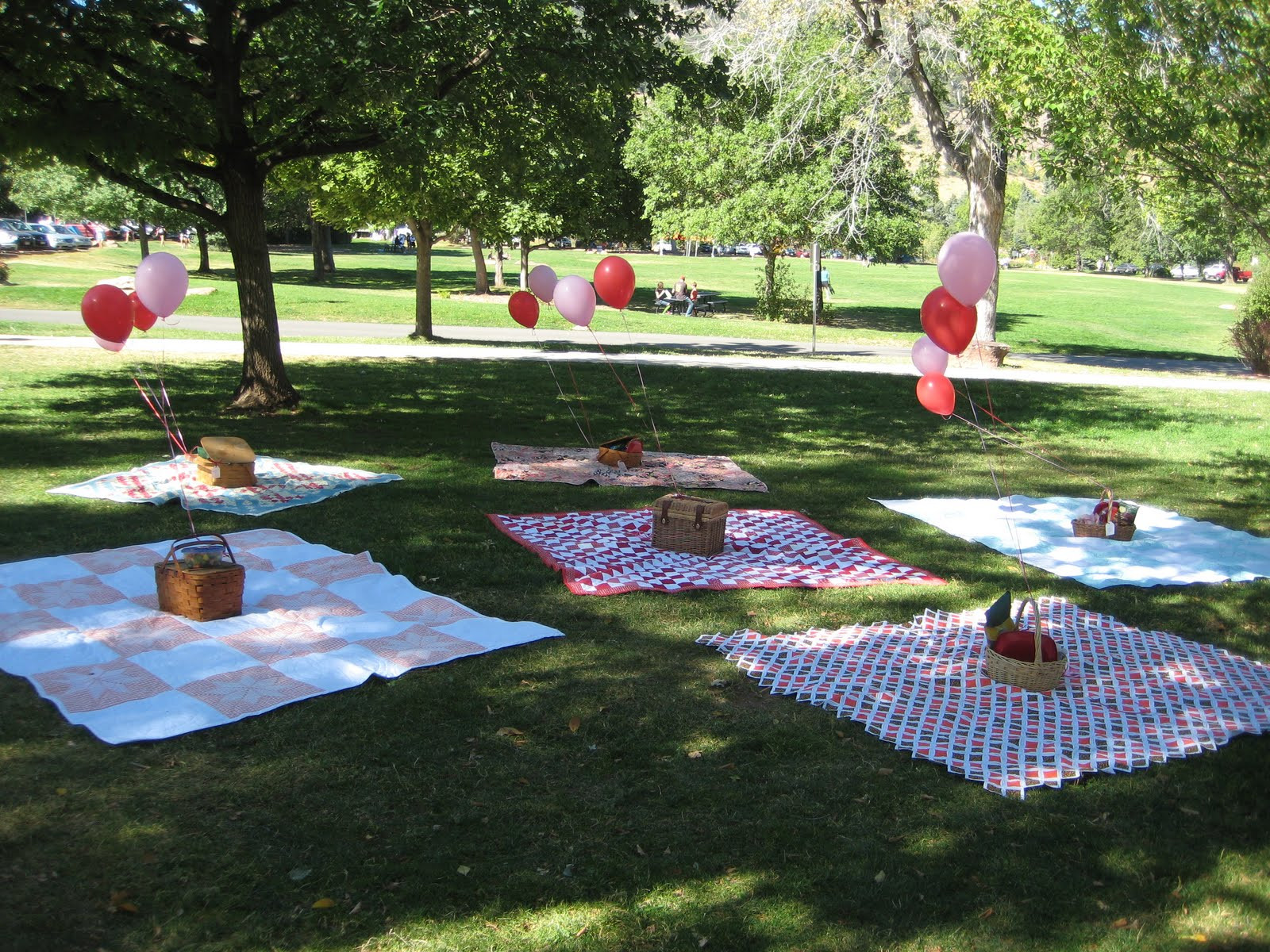 Birthday Party At Park
 Colorado Sartells Chautauqua Park Picnic Birthday