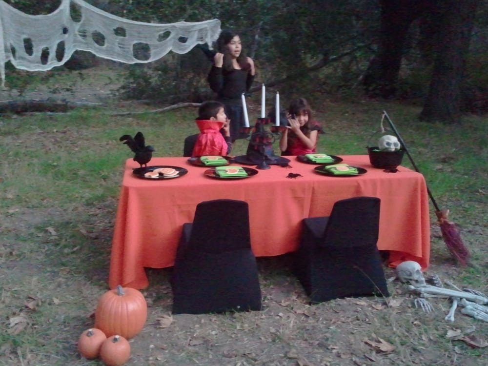 Birthday Party Rental Ideas
 halloween theme birthday party table set up decoration