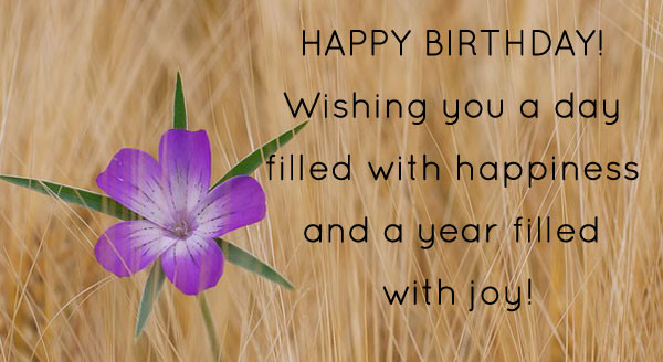 Birthday Picture Quotes
 Happy Birthday Quotes