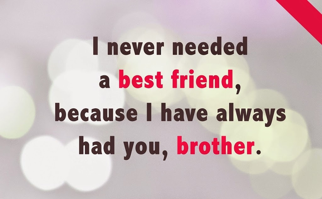 Birthday Quotes For Brother From Sister
 BIRTHDAY QUOTES FOR BROTHER FROM LITTLE SISTER image