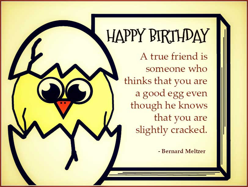 Birthday Quotes For Friends Funny
 Best Friend Birthday Quotes Quotes and Sayings