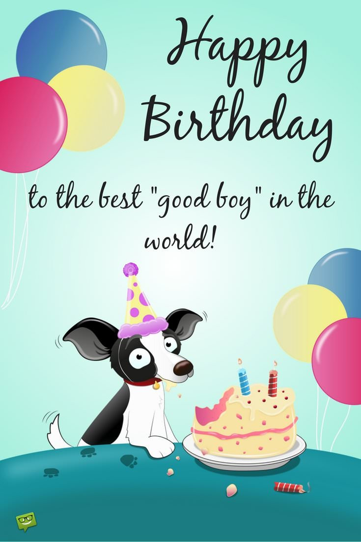 Birthday Wishes For A Boy
 Heart Touching Cute Wishes for your Dog s or Cat s Birthday