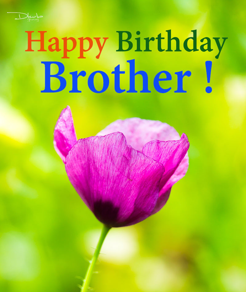 Birthday Wishes For Big Brother
 50 Big Brother Birthday Wishes and Quotes In Nepali