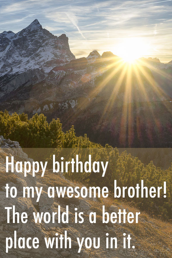 Birthday Wishes Quotes For Brother
 150 Happy Birthday Wishes for Brother Best Funny