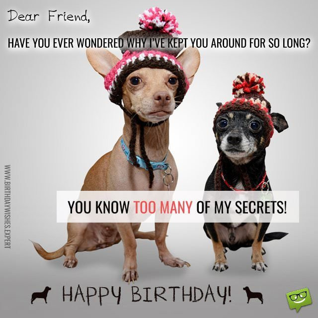 Birthday Wishes To A Friend Funny
 Funny Birthday Wishes for your Family & Friends