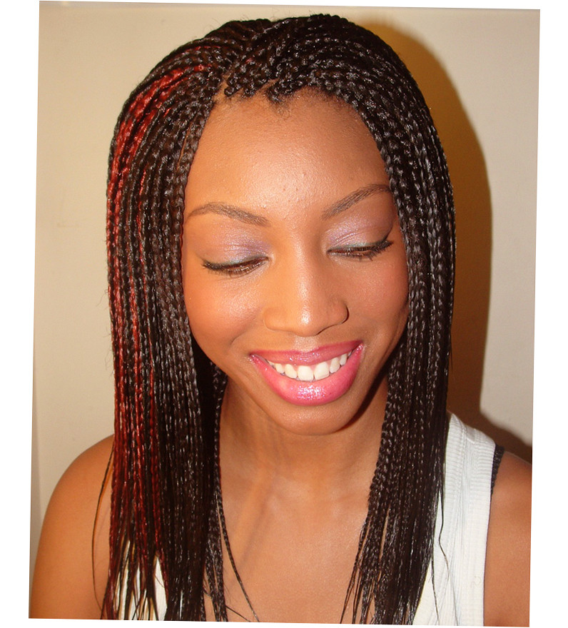 Black Girl French Braid Hairstyles
 Black Girl Braid Braided Braiding Hairstyles Ellecrafts