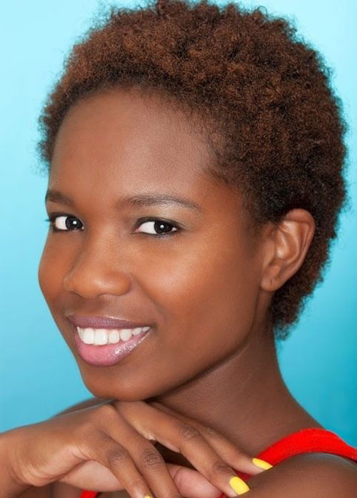 Black Girl Short Natural Hairstyles
 Short Natural Hairstyles