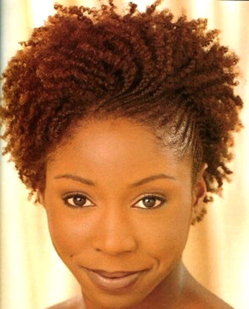 Black Natural Braided Hairstyles
 60 Most Inspiring Natural Hairstyles for Short Hair