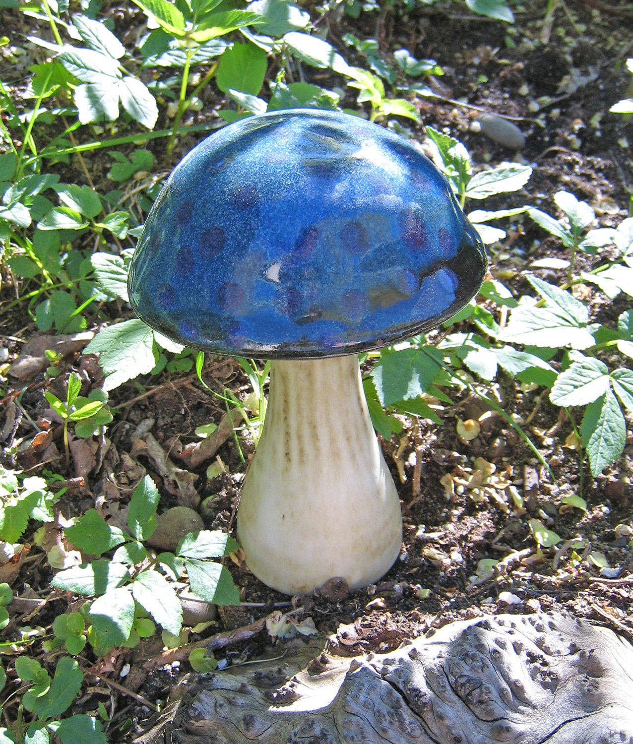 Blue Caps Mushrooms
 Blue Cap Mushroom Garden Sculpture Pre show by UnderstoryShop