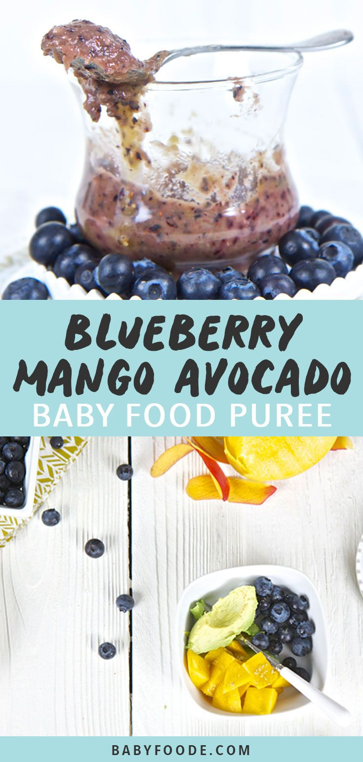 Blueberry Baby Food Recipe
 Blueberry Mango Avocado Baby Food Puree Recipe