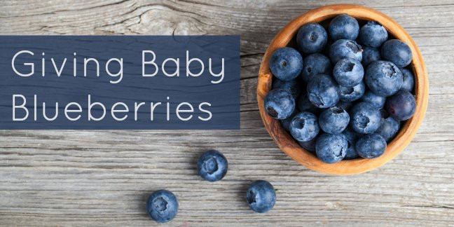 Blueberry Baby Food Recipe
 Blueberry for Baby Food Recipes Important Allergy